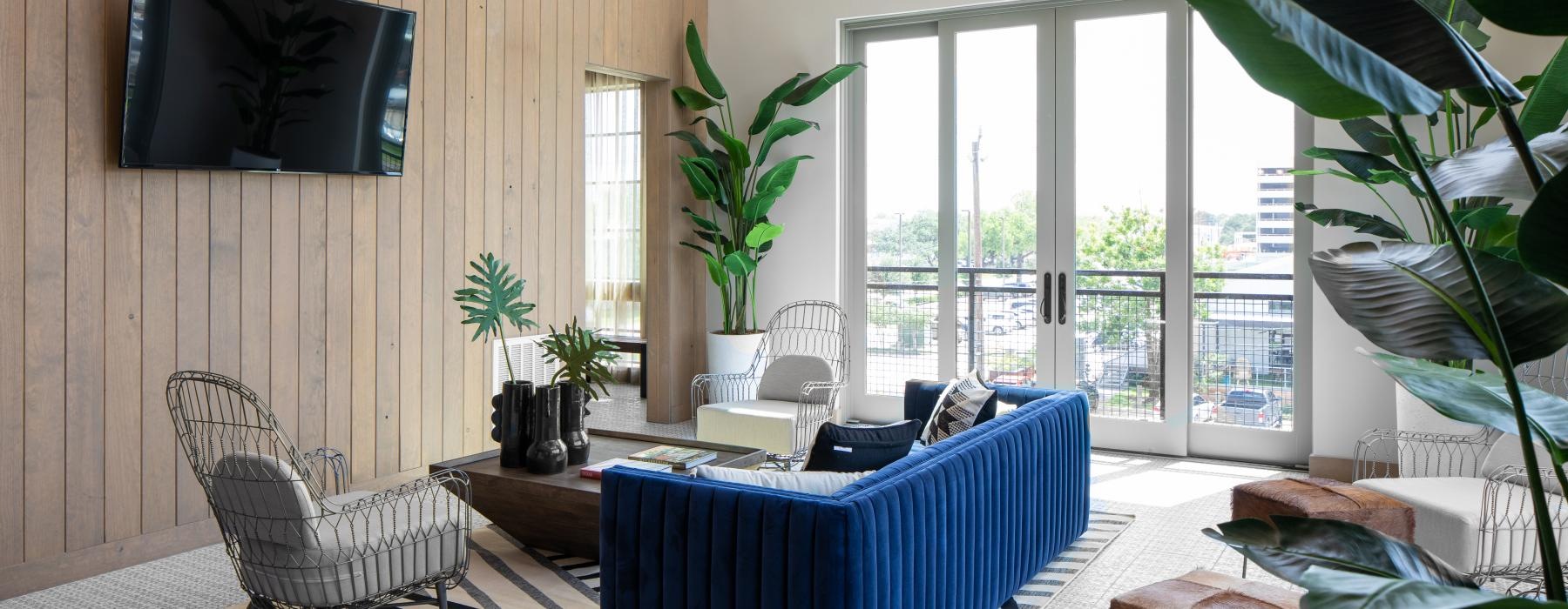 a lounge room with a blue couch and a tv and windows